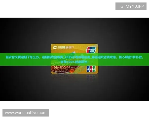 玩球返水怎么算避坑指南彩票数字高频玩法防骗
